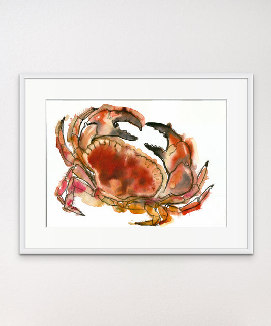 Newlyn Crab - Giclée Watercolour Print