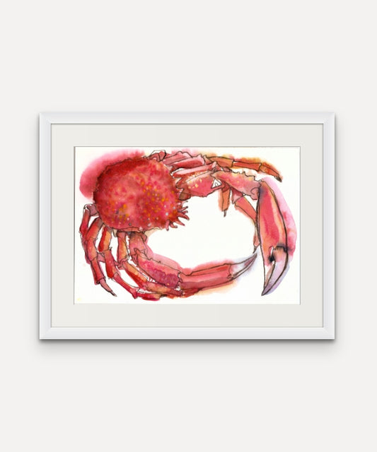 Spider Crab - Giclée Watercolour Print