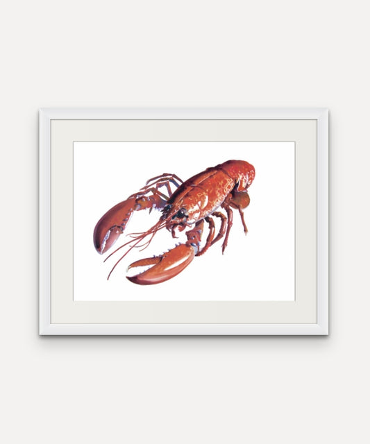 Lobster - Giclée Watercolour Print