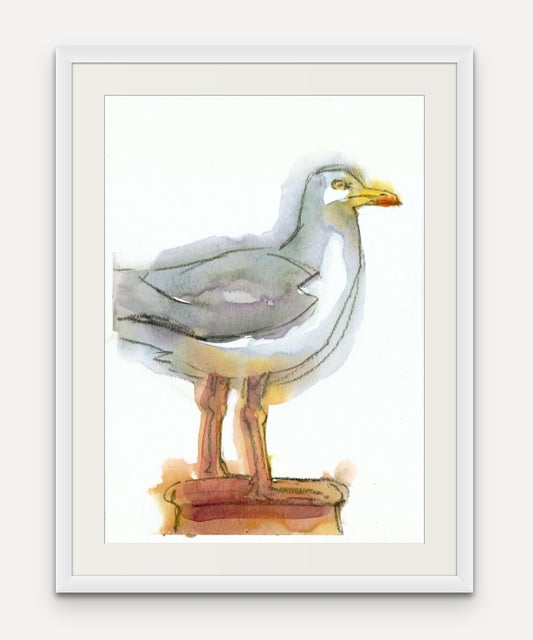 Herring Gull - Giclée Watercolour Print