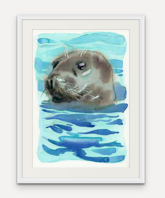 Grey Seal Sighting - Giclée Watercolour Print