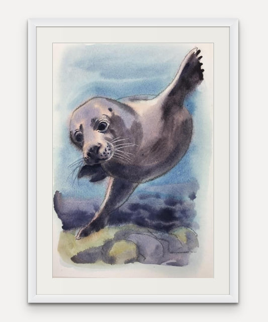 Underwater Seal - Giclée Watercolour Print