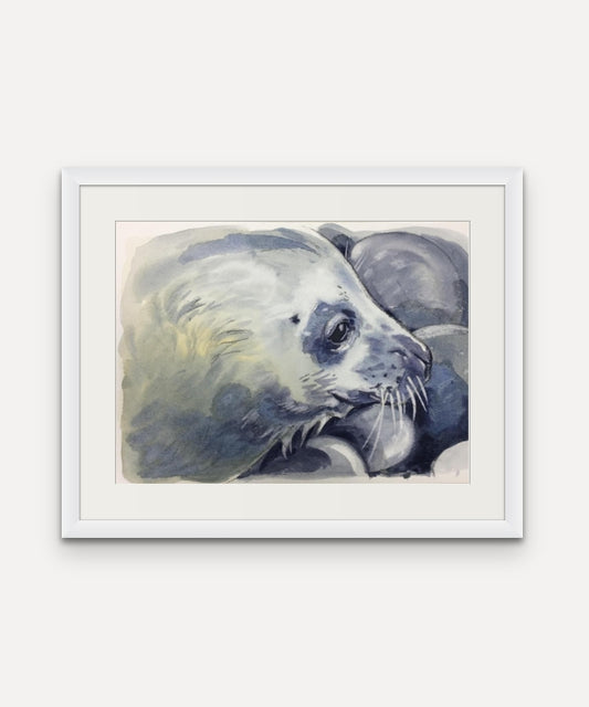 Wing's Pup Seal - Giclée Watercolour Print