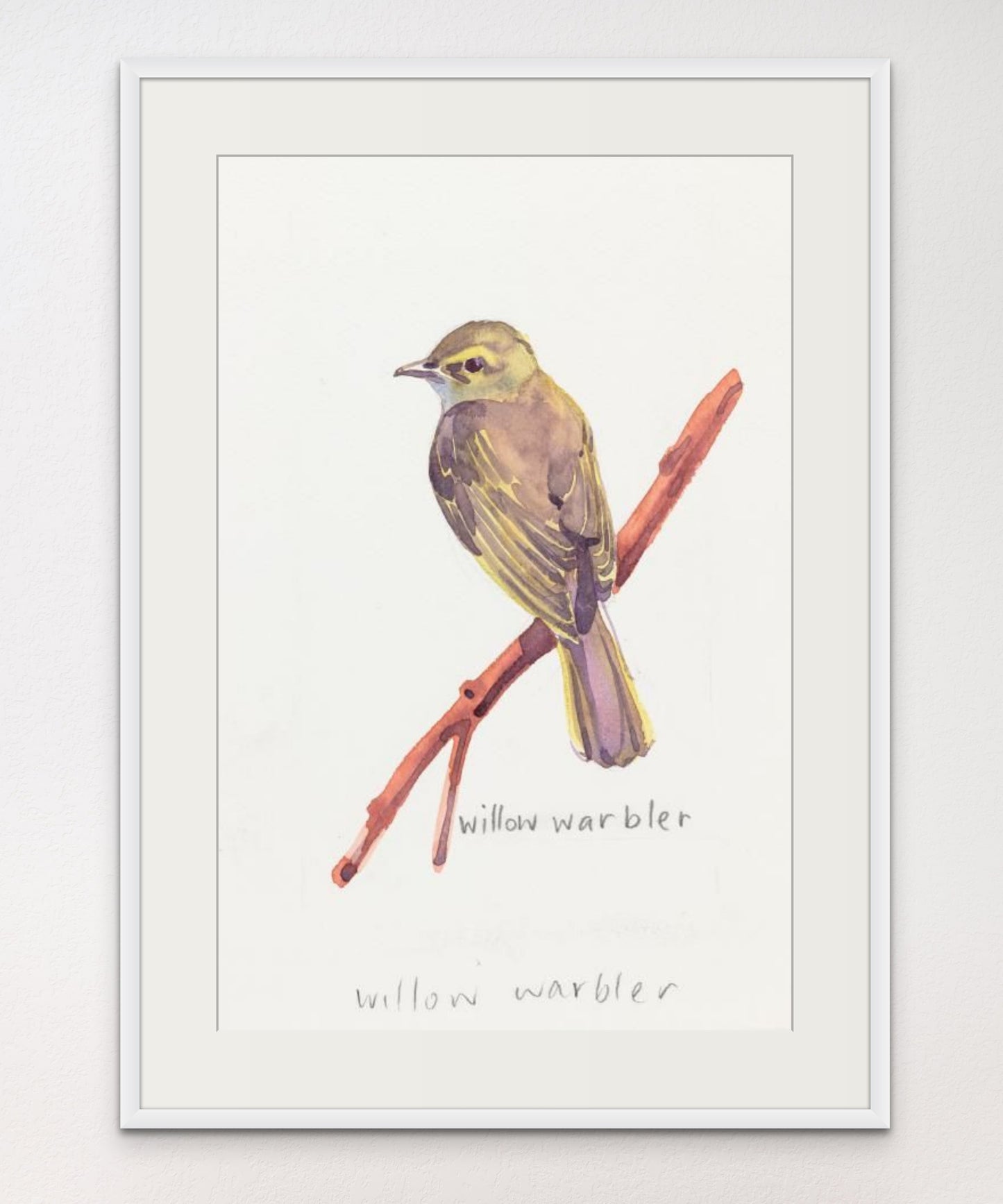 Willow Warbler - Giclée Watercolour Print